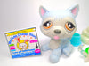 Littlest Pet Shop Rare Blue Sitting Husky Dog #1046 & cute accessories Authentic
