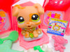 Littlest Pet Shop Tan Brown Boxer Puppy Dog #1363 & cute accessories Authentic