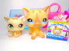 Littlest Pet Shop Rare Short Hair Cat #886 Kitten #1074 & Accessories Authentic
