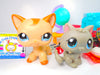 Littlest Pet Shop Short Hair Cat #1024 Kitten #66 & Accessories Authentic