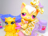 Littlest Pet Shop Rare Yellow Angora Cat #364 & Accessories Authentic