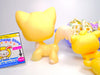 Littlest Pet Shop Rare Yellow Angora Cat #364 & Accessories Authentic