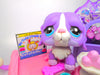 Littlest Pet Shop RARE Purple St. Bernard Dog #2405 & Accessories Authentic