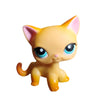 Littlest Pet Shop short hair cat #339 "Brooke " $40-$55