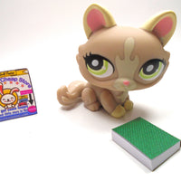 Littlest Pet Shop Crouching cat #1370 with accessories - My Cute Cheap Store