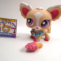 Littlest Pet Shop Chihuahua #1892 with accessories - My Cute Cheap Store
