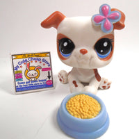 Littlest Pet Shop white Bulldog #2106 with accessories - My Cute Cheap Store