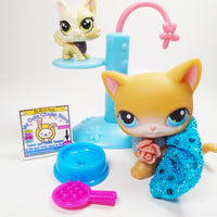 Littlest Pet Shop yellow short hair cat #71 with accessories - My Cute Cheap Store