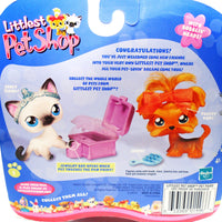 Littlest Pet Shop Rare Siamese Cat #5 and Yorkie #6 ~New in box - My Cute Cheap Store