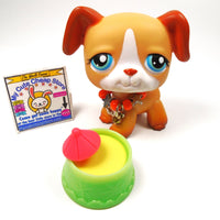 Littlest Pet Shop Boxer dog #218 with accessories - My Cute Cheap Store