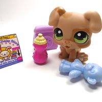 Littlest Pet Shop baby boxer #1353 with accessories - My Cute Cheap Store
