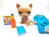 Littlest Pet Shop Shorth Hair cat #228 with cute accessories - My Cute Cheap Store